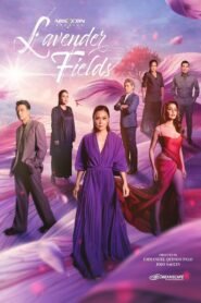 Lavender Fields: Season 2