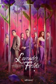 Lavender Fields: Season 1